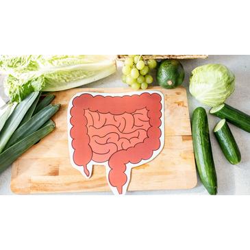 Miért alakulhat ki a Candida és a rák a vastagbélben?