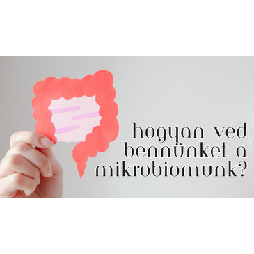 Hogyan véd bennünket a mikrobiomunk?