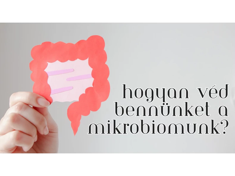 Hogyan véd bennünket a mikrobiomunk?